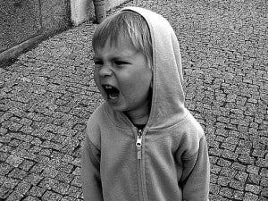 3766009204_8721a00dde_z-e1463682635548-300x225.jpg