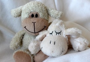 teddy-bears-1148352_960_720-300x206.jpg
