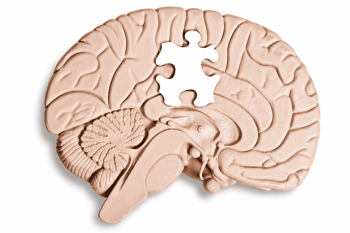 Cognitive Behavior Therapist (CBT)