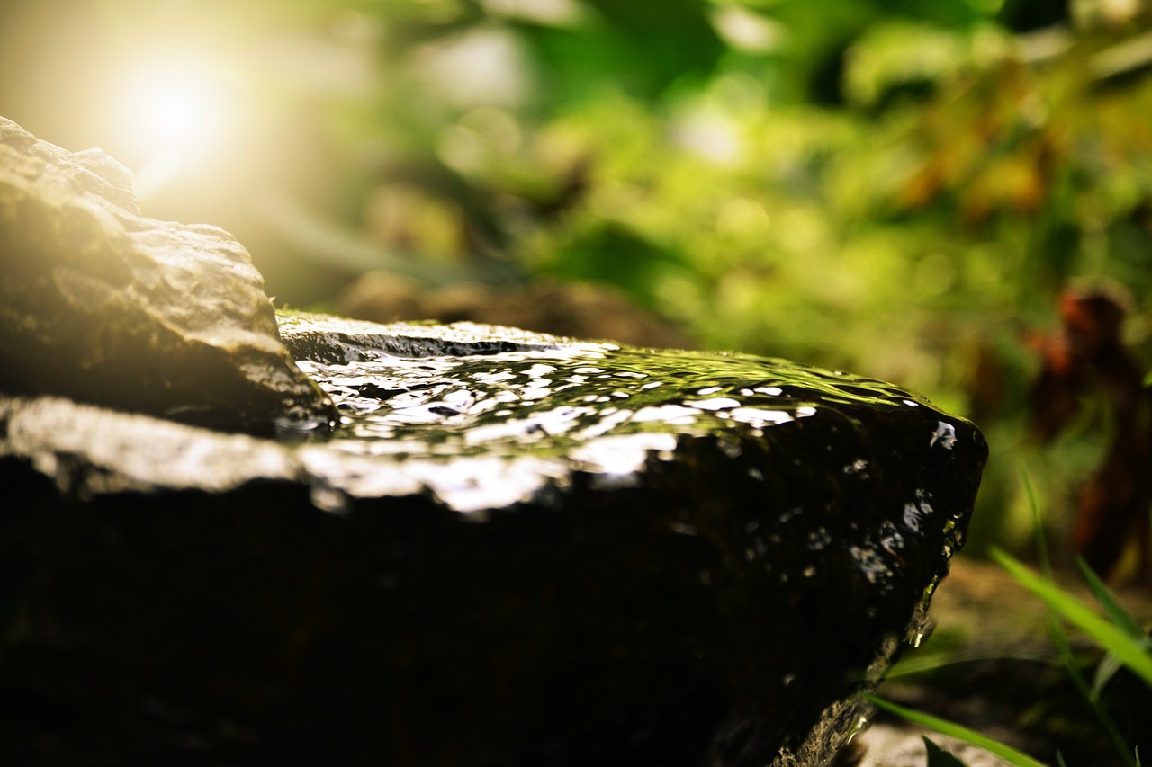 Psychodynamic therapy is an insight-oriented therapy